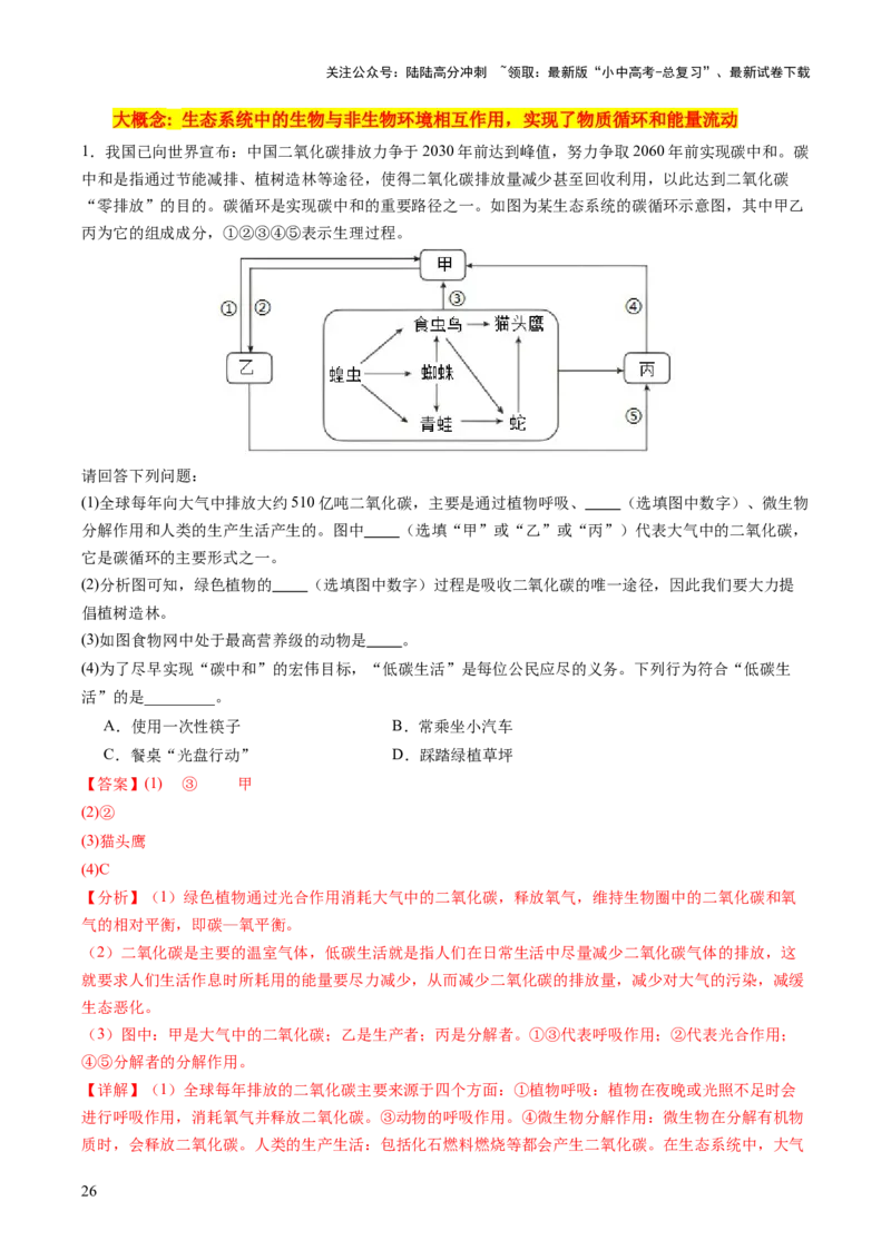 热点突破01食物网和碳循环模型的构建（讲练）（解析版）_02中考总复习（2026版更新中）_08-生物-中考总复习_2025中考复习资料_2025中考二轮课件ppt+讲义+练习生物_讲义+练习