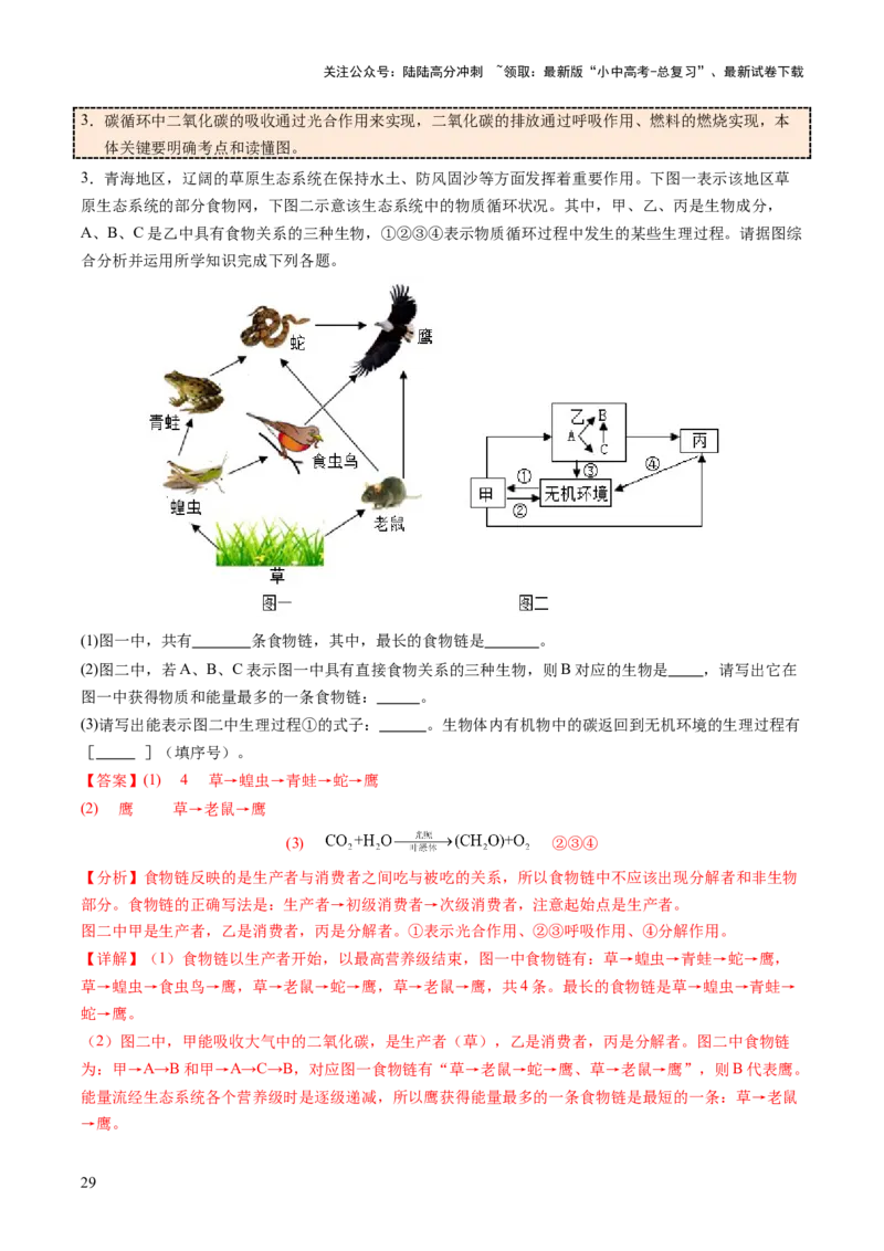 热点突破01食物网和碳循环模型的构建（讲练）（解析版）_02中考总复习（2026版更新中）_08-生物-中考总复习_2025中考复习资料_2025中考二轮课件ppt+讲义+练习生物_讲义+练习