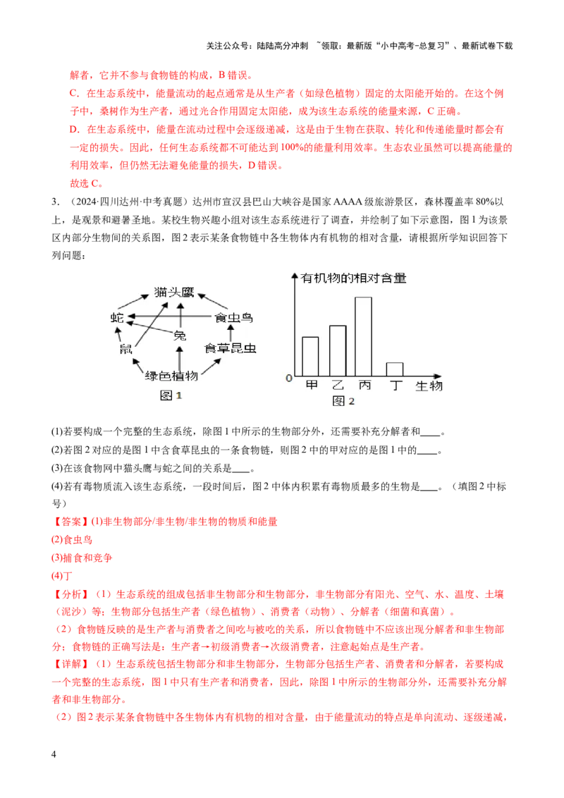 热点突破01食物网和碳循环模型的构建（讲练）（解析版）_02中考总复习（2026版更新中）_08-生物-中考总复习_2025中考复习资料_2025中考二轮课件ppt+讲义+练习生物_讲义+练习