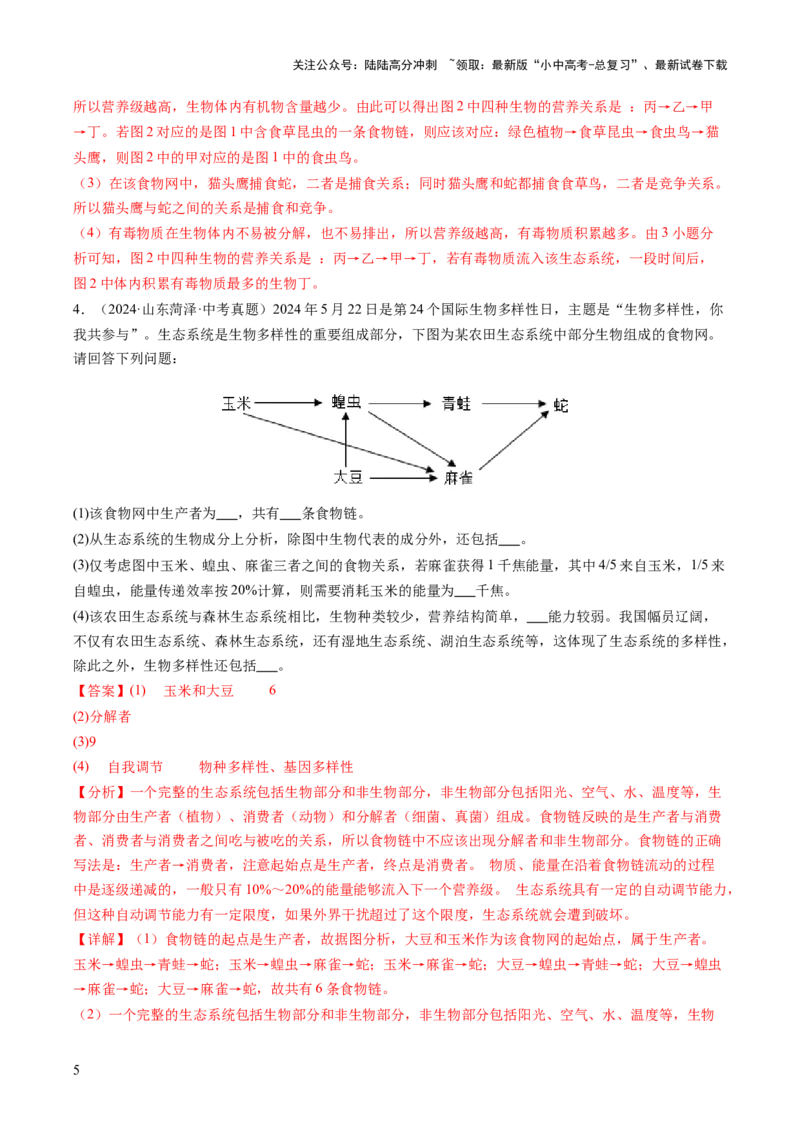 热点突破01食物网和碳循环模型的构建（讲练）（解析版）_02中考总复习（2026版更新中）_08-生物-中考总复习_2025中考复习资料_2025中考二轮课件ppt+讲义+练习生物_讲义+练习