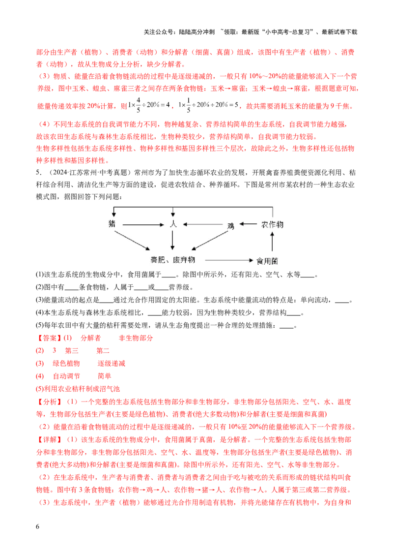 热点突破01食物网和碳循环模型的构建（讲练）（解析版）_02中考总复习（2026版更新中）_08-生物-中考总复习_2025中考复习资料_2025中考二轮课件ppt+讲义+练习生物_讲义+练习