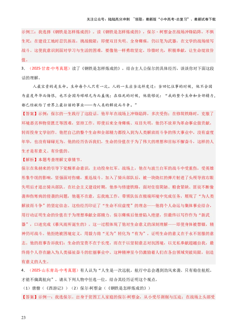 第04讲《钢铁是怎样炼成的》整本书阅读(练习）（解析版）_02中考总复习（2026版更新中）_01-语文-中考总复习_2026年中考复习（更新中）_2026年中考语文一轮复习名著阅读