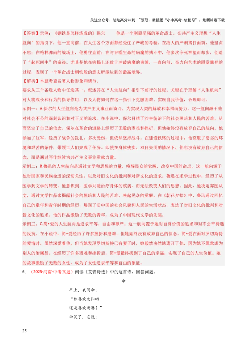 第04讲《钢铁是怎样炼成的》整本书阅读(练习）（解析版）_02中考总复习（2026版更新中）_01-语文-中考总复习_2026年中考复习（更新中）_2026年中考语文一轮复习名著阅读