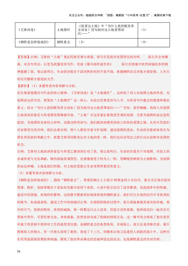 第04讲《钢铁是怎样炼成的》整本书阅读(练习）（解析版）_02中考总复习（2026版更新中）_01-语文-中考总复习_2026年中考复习（更新中）_2026年中考语文一轮复习名著阅读