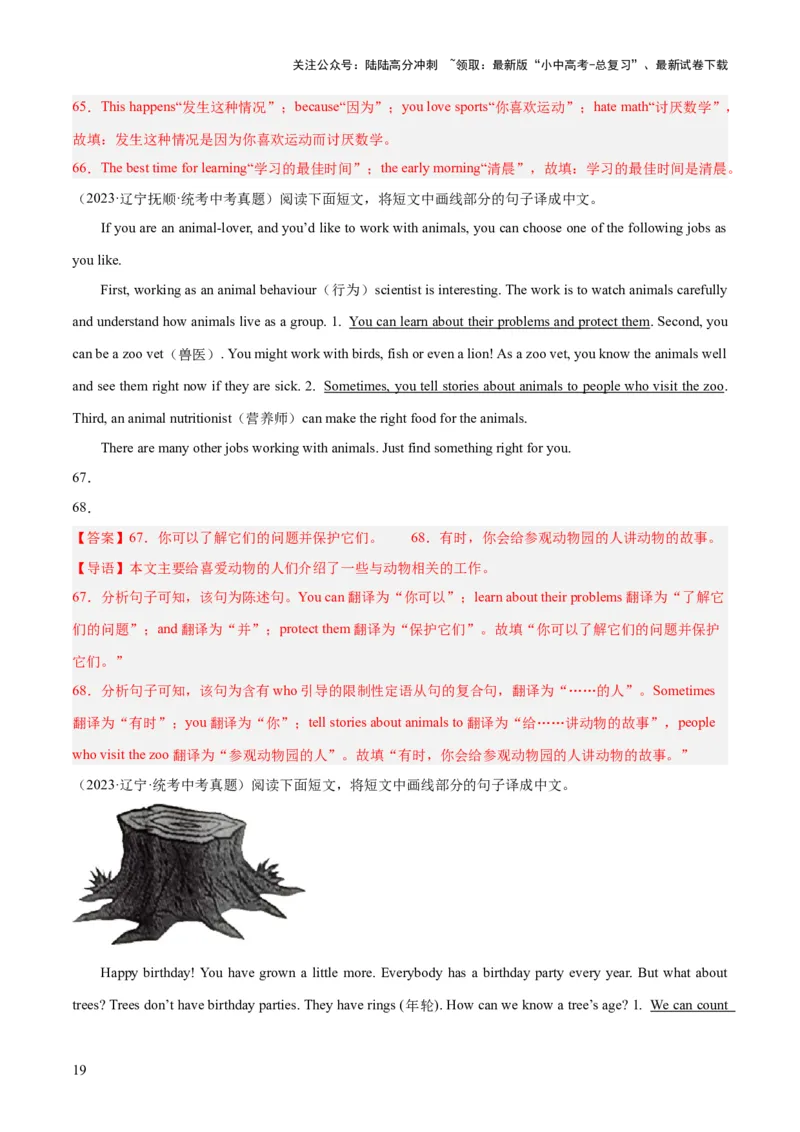 第19讲翻译（讲义）-2024年中考英语一轮复习讲练测（全国通用）（解析版）_02中考总复习（2026版更新中）_03-英语-中考总复习_2024年中考复习资料_一轮复习_配套讲义（原卷版+解析版）