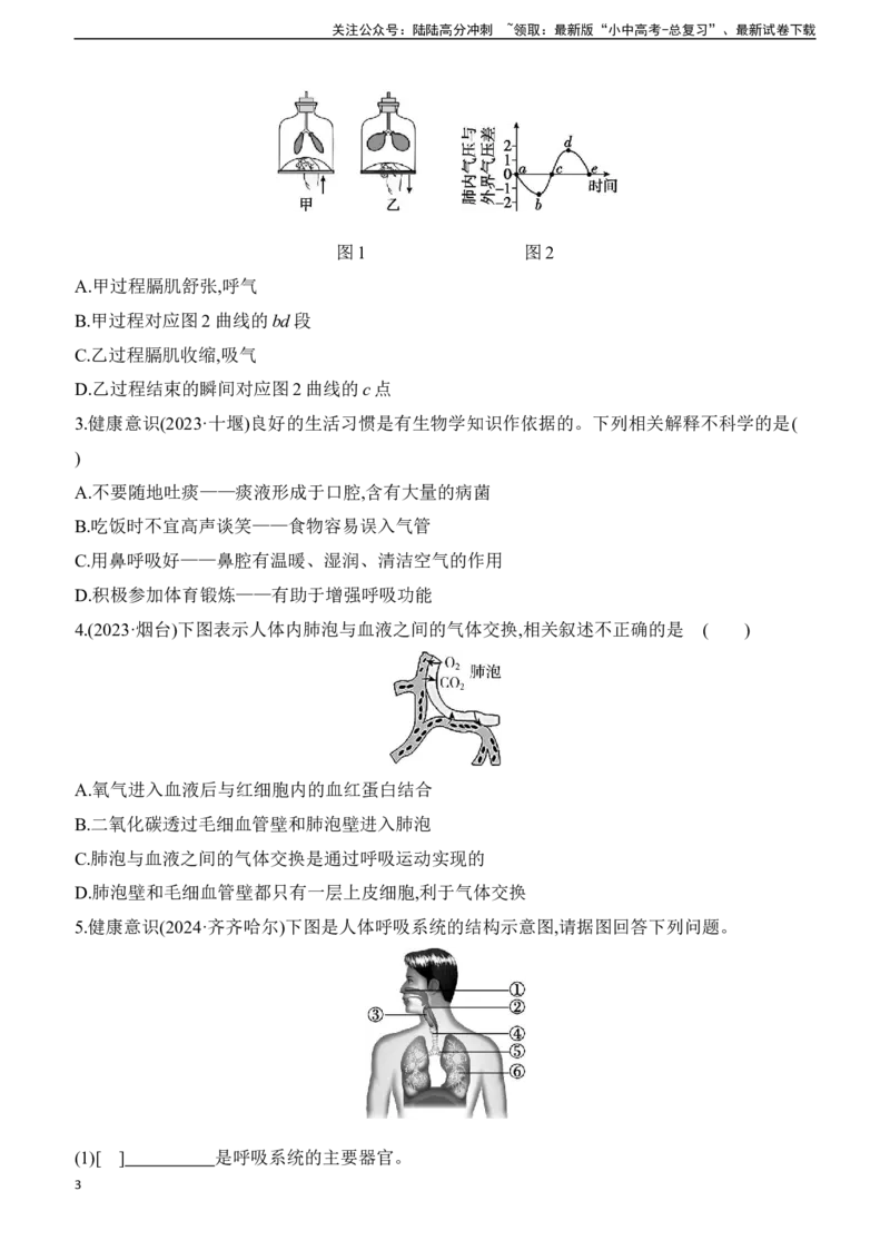第11讲　人体的呼吸2025年中考生物学专题练习（含答案）_02中考总复习（2026版更新中）_08-生物-中考总复习_2025中考复习资料_2025年中考生物学专题练习(含答案)