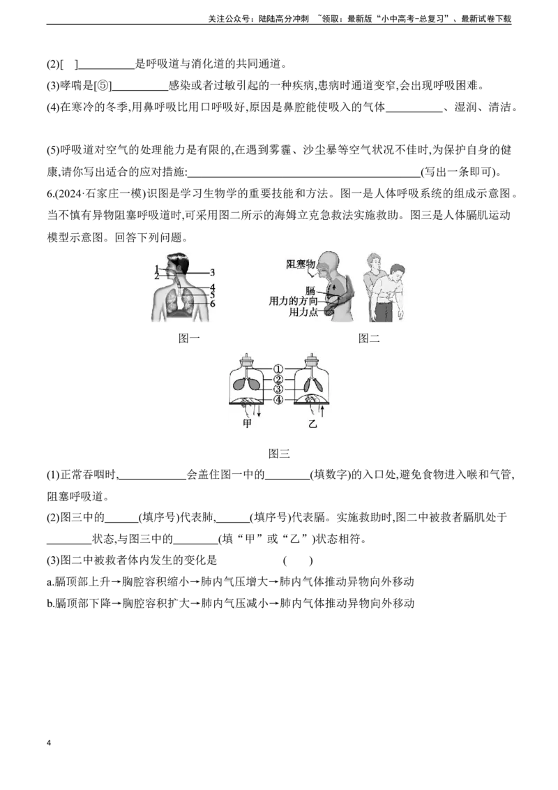 第11讲　人体的呼吸2025年中考生物学专题练习（含答案）_02中考总复习（2026版更新中）_08-生物-中考总复习_2025中考复习资料_2025年中考生物学专题练习(含答案)