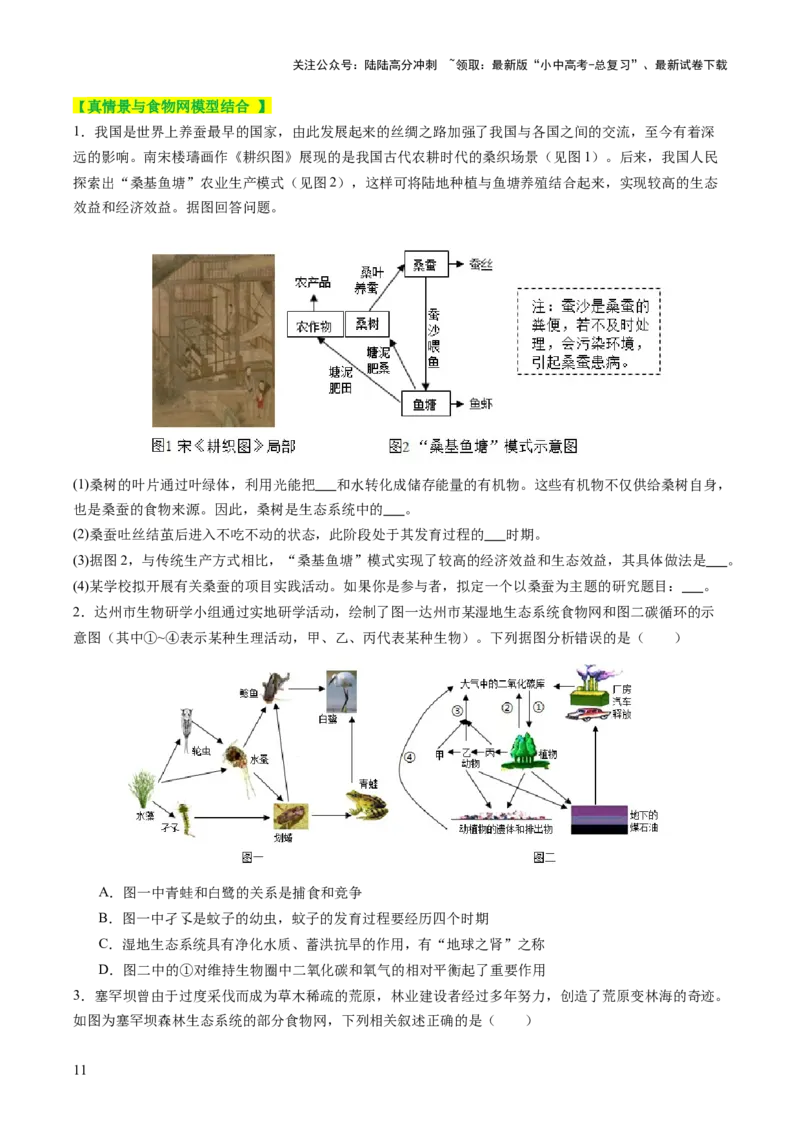 热点突破01食物网和碳循环模型的构建（讲练）（原卷版）_02中考总复习（2026版更新中）_08-生物-中考总复习_2025中考复习资料_2025中考二轮课件ppt+讲义+练习生物_讲义+练习