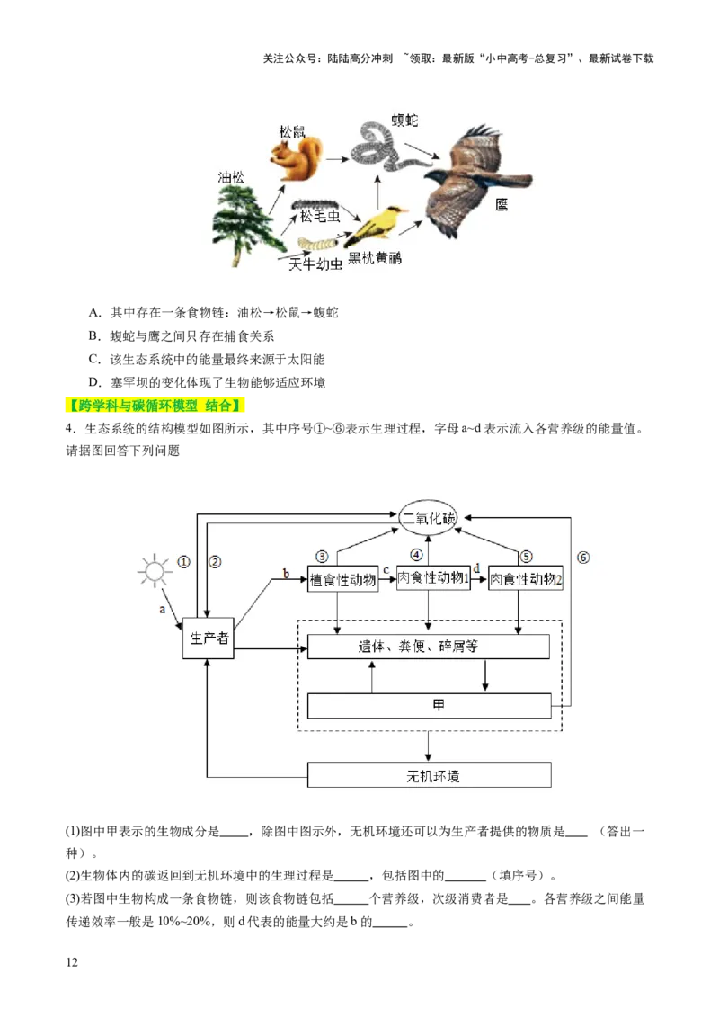热点突破01食物网和碳循环模型的构建（讲练）（原卷版）_02中考总复习（2026版更新中）_08-生物-中考总复习_2025中考复习资料_2025中考二轮课件ppt+讲义+练习生物_讲义+练习