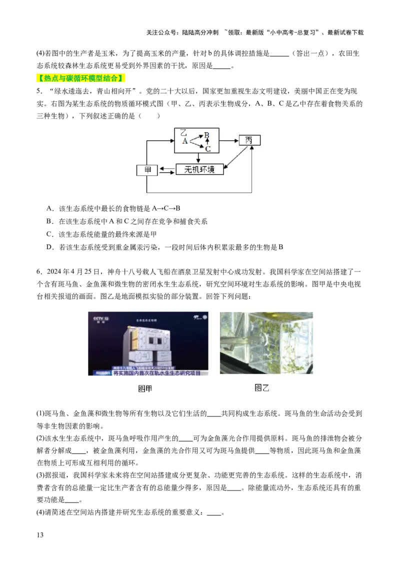 热点突破01食物网和碳循环模型的构建（讲练）（原卷版）_02中考总复习（2026版更新中）_08-生物-中考总复习_2025中考复习资料_2025中考二轮课件ppt+讲义+练习生物_讲义+练习