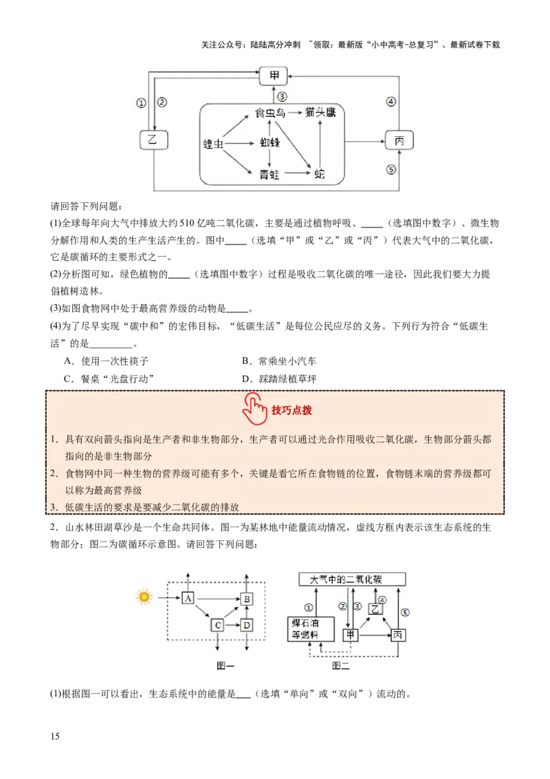 热点突破01食物网和碳循环模型的构建（讲练）（原卷版）_02中考总复习（2026版更新中）_08-生物-中考总复习_2025中考复习资料_2025中考二轮课件ppt+讲义+练习生物_讲义+练习