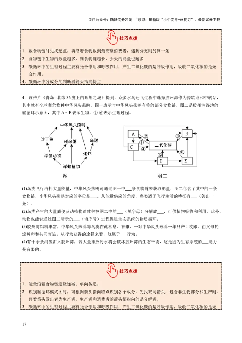 热点突破01食物网和碳循环模型的构建（讲练）（原卷版）_02中考总复习（2026版更新中）_08-生物-中考总复习_2025中考复习资料_2025中考二轮课件ppt+讲义+练习生物_讲义+练习