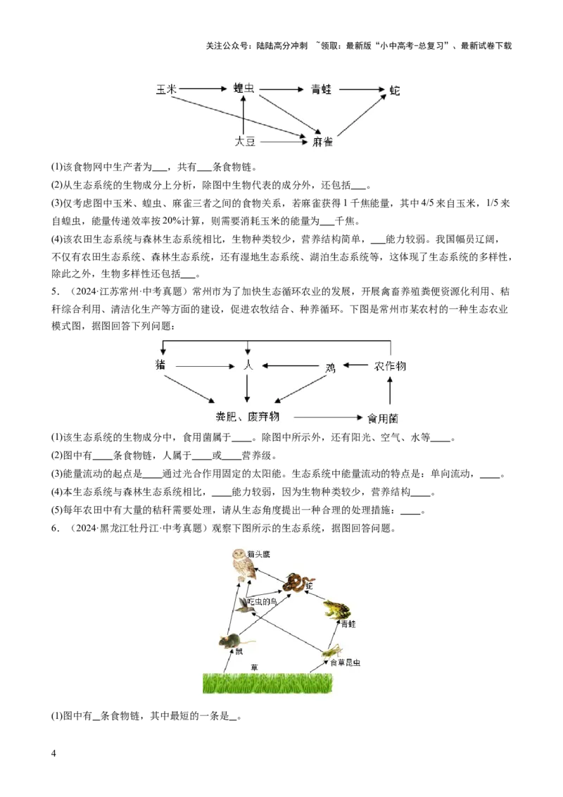 热点突破01食物网和碳循环模型的构建（讲练）（原卷版）_02中考总复习（2026版更新中）_08-生物-中考总复习_2025中考复习资料_2025中考二轮课件ppt+讲义+练习生物_讲义+练习