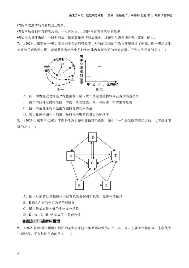 热点突破01食物网和碳循环模型的构建（讲练）（原卷版）_02中考总复习（2026版更新中）_08-生物-中考总复习_2025中考复习资料_2025中考二轮课件ppt+讲义+练习生物_讲义+练习
