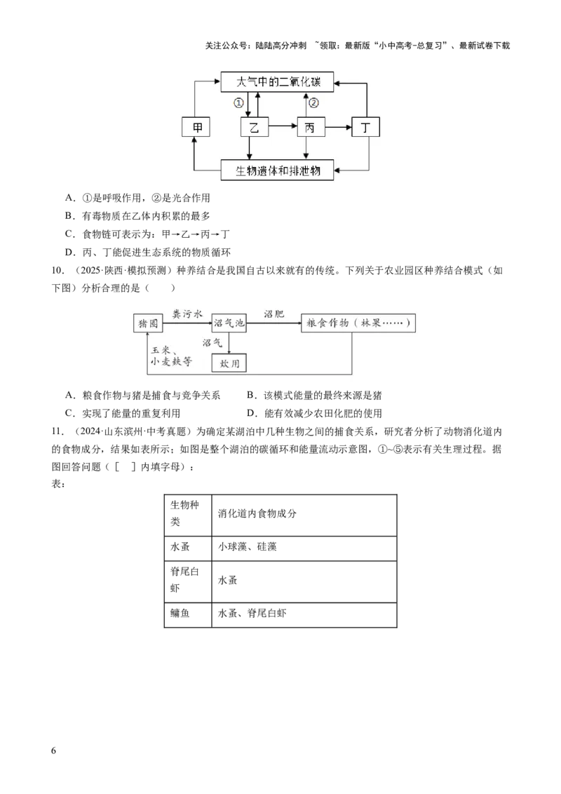 热点突破01食物网和碳循环模型的构建（讲练）（原卷版）_02中考总复习（2026版更新中）_08-生物-中考总复习_2025中考复习资料_2025中考二轮课件ppt+讲义+练习生物_讲义+练习