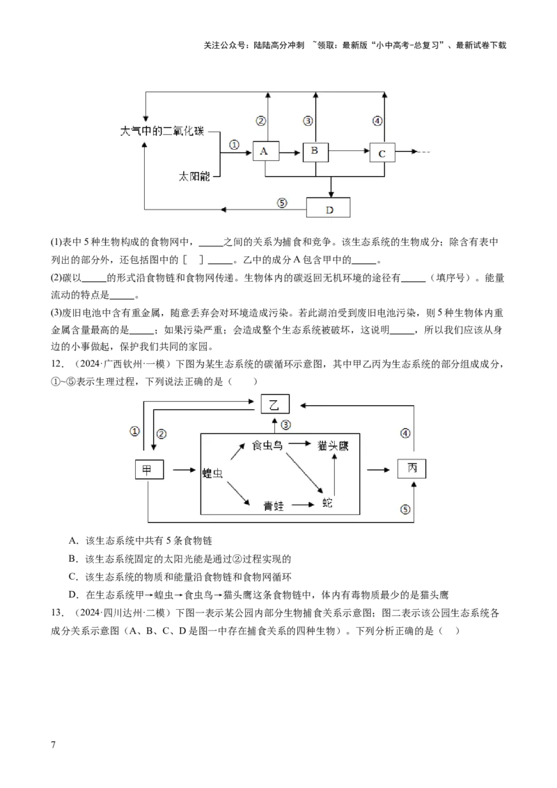 热点突破01食物网和碳循环模型的构建（讲练）（原卷版）_02中考总复习（2026版更新中）_08-生物-中考总复习_2025中考复习资料_2025中考二轮课件ppt+讲义+练习生物_讲义+练习