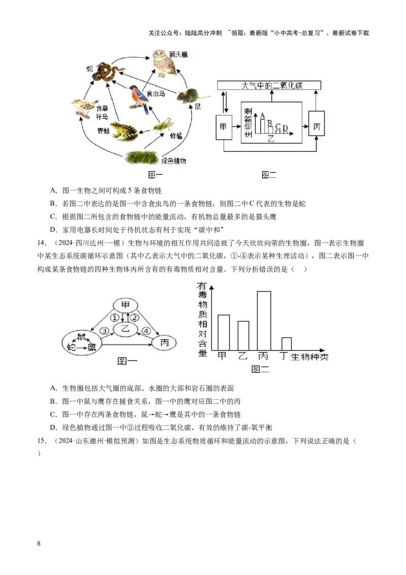 热点突破01食物网和碳循环模型的构建（讲练）（原卷版）_02中考总复习（2026版更新中）_08-生物-中考总复习_2025中考复习资料_2025中考二轮课件ppt+讲义+练习生物_讲义+练习