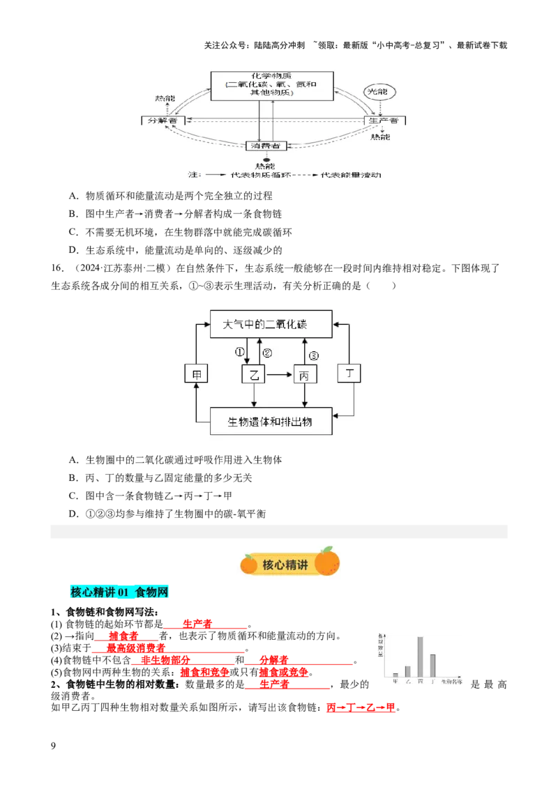 热点突破01食物网和碳循环模型的构建（讲练）（原卷版）_02中考总复习（2026版更新中）_08-生物-中考总复习_2025中考复习资料_2025中考二轮课件ppt+讲义+练习生物_讲义+练习