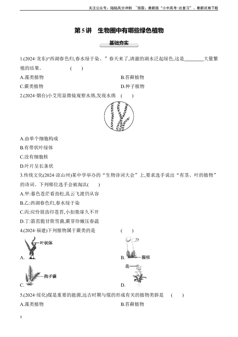 第05讲　生物圈中有哪些绿色植物2025年中考生物学专题练习（含答案）_02中考总复习（2026版更新中）_08-生物-中考总复习_2025中考复习资料_2025年中考生物学专题练习(含答案)
