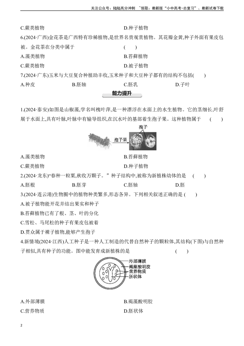 第05讲　生物圈中有哪些绿色植物2025年中考生物学专题练习（含答案）_02中考总复习（2026版更新中）_08-生物-中考总复习_2025中考复习资料_2025年中考生物学专题练习(含答案)