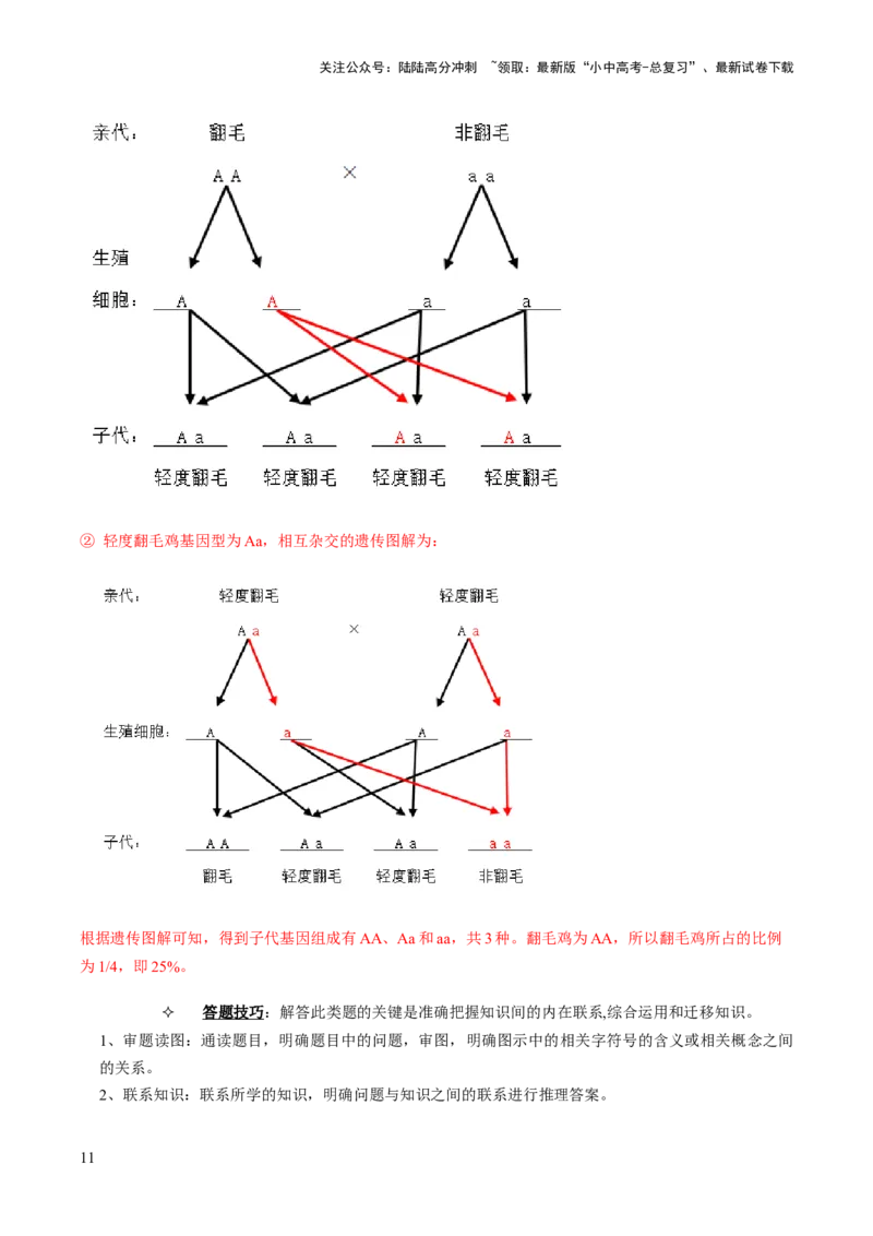 热点趋向03综合应用（讲练）（解析版）_02中考总复习（2026版更新中）_08-生物-中考总复习_2025中考复习资料_2025中考二轮课件ppt+讲义+练习生物_测试