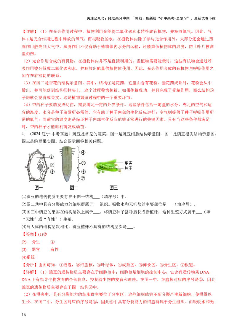 热点趋向03综合应用（讲练）（解析版）_02中考总复习（2026版更新中）_08-生物-中考总复习_2025中考复习资料_2025中考二轮课件ppt+讲义+练习生物_测试