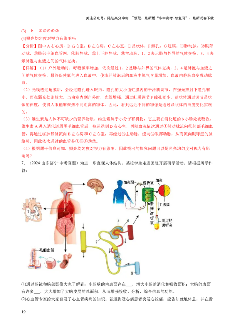 热点趋向03综合应用（讲练）（解析版）_02中考总复习（2026版更新中）_08-生物-中考总复习_2025中考复习资料_2025中考二轮课件ppt+讲义+练习生物_测试