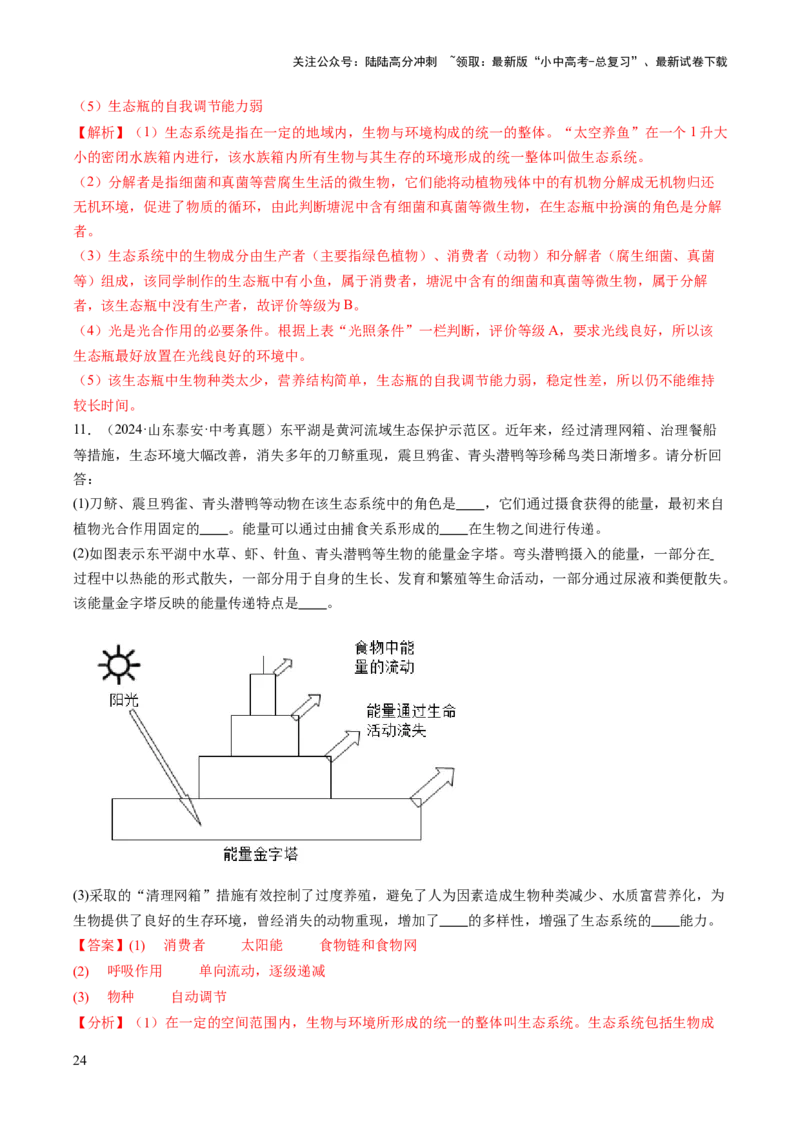 热点趋向03综合应用（讲练）（解析版）_02中考总复习（2026版更新中）_08-生物-中考总复习_2025中考复习资料_2025中考二轮课件ppt+讲义+练习生物_测试
