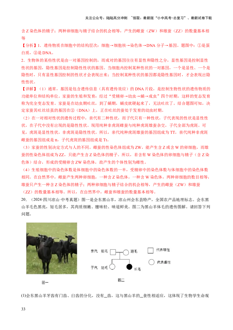 热点趋向03综合应用（讲练）（解析版）_02中考总复习（2026版更新中）_08-生物-中考总复习_2025中考复习资料_2025中考二轮课件ppt+讲义+练习生物_测试