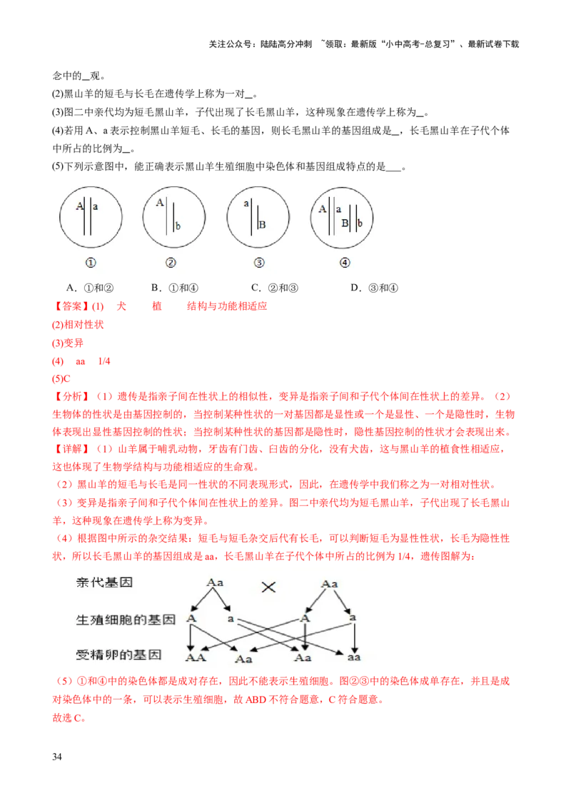 热点趋向03综合应用（讲练）（解析版）_02中考总复习（2026版更新中）_08-生物-中考总复习_2025中考复习资料_2025中考二轮课件ppt+讲义+练习生物_测试