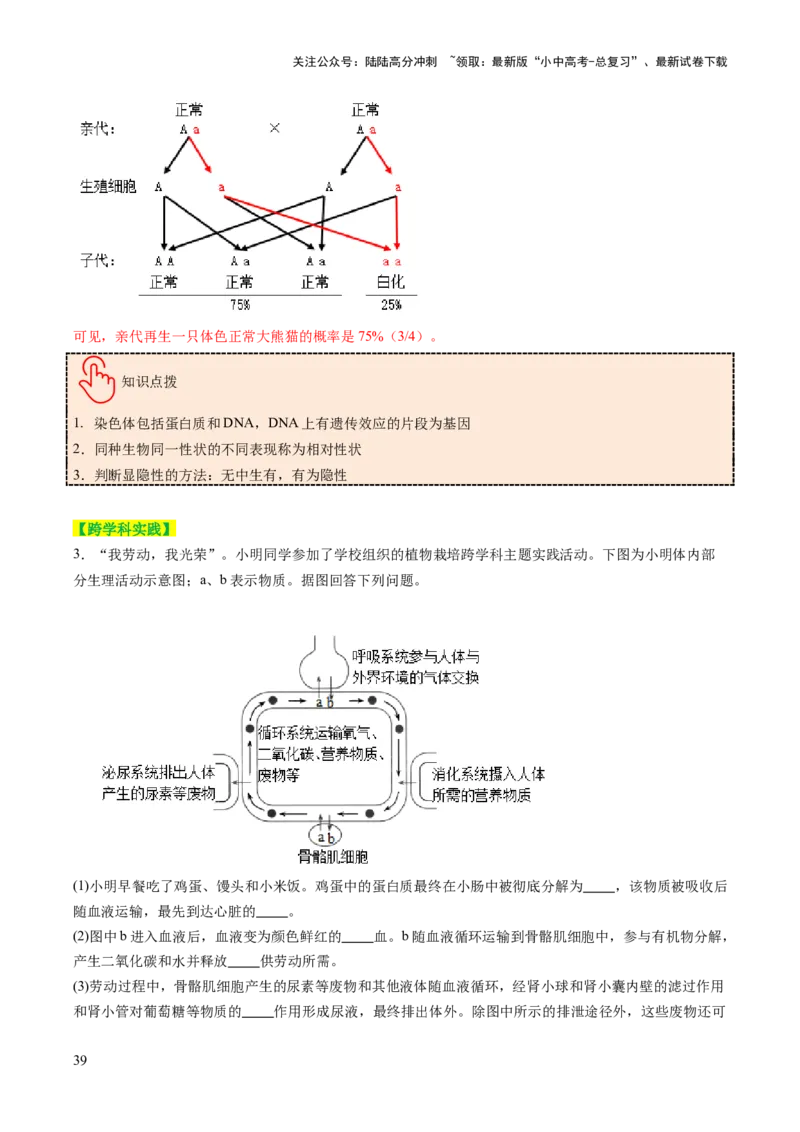 热点趋向03综合应用（讲练）（解析版）_02中考总复习（2026版更新中）_08-生物-中考总复习_2025中考复习资料_2025中考二轮课件ppt+讲义+练习生物_测试