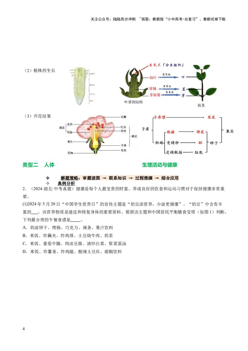 热点趋向03综合应用（讲练）（解析版）_02中考总复习（2026版更新中）_08-生物-中考总复习_2025中考复习资料_2025中考二轮课件ppt+讲义+练习生物_测试