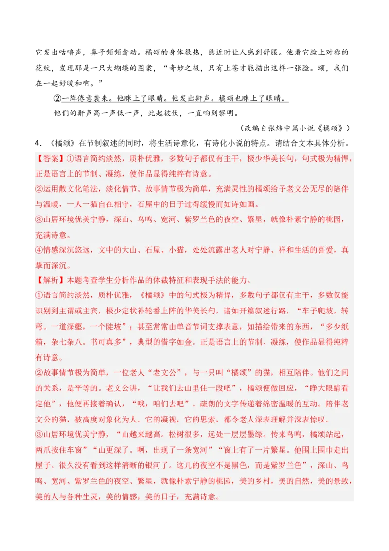 专题05：小说文本特征（解析版）-上好课2025年高考语文一轮复习知识清单_1.2025语文总复习_2025年新高考资料_一轮复习_2025年高考语文一轮复习知识清单