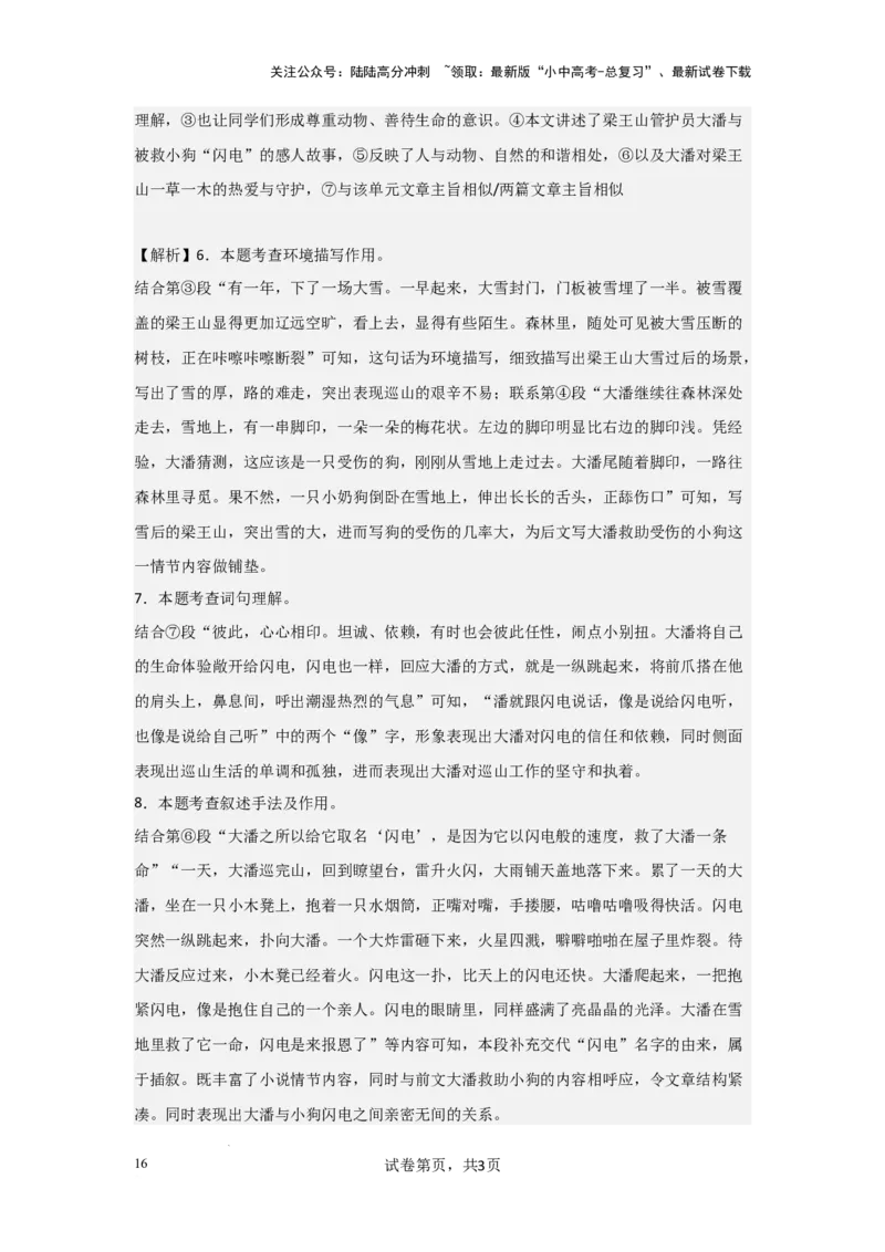 环境描写及作用（专项训练）（解析版）_02中考总复习（2026版更新中）_01-语文-中考总复习_2025年中考资料_备战2025年中考语文一轮复习记叙文阅读课件+专项练习_专项练习