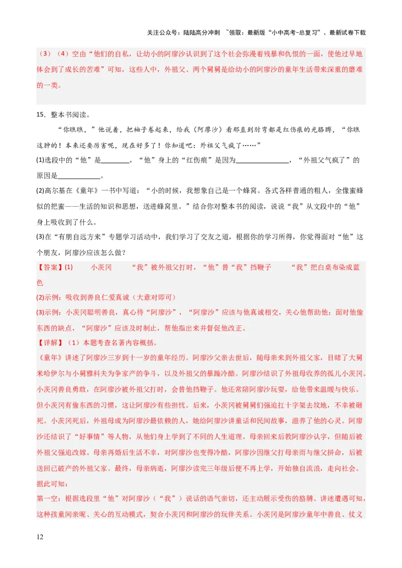 第01讲《童年》整本书阅读(练习）（解析版）_02中考总复习（2026版更新中）_01-语文-中考总复习_2026年中考复习（更新中）_2026年中考语文一轮复习名著阅读