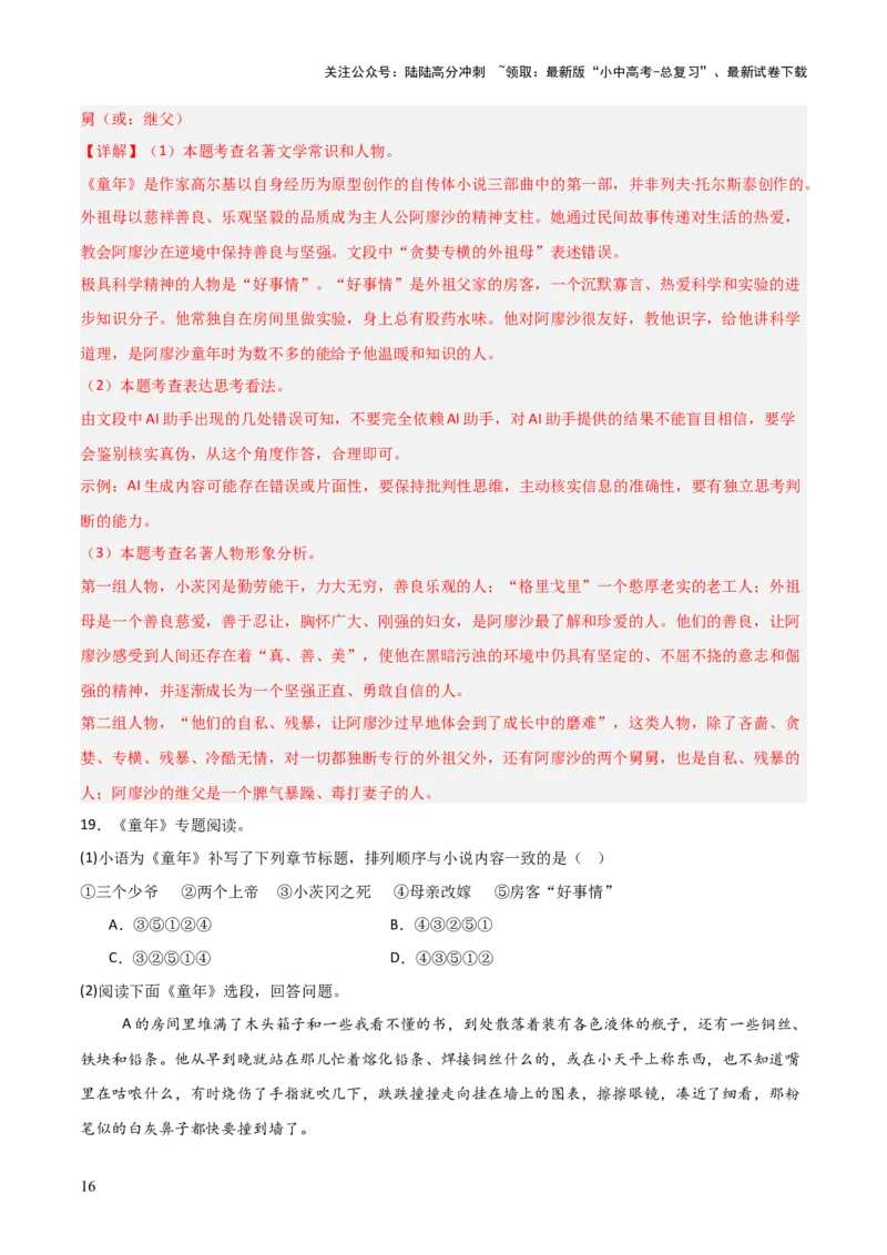 第01讲《童年》整本书阅读(练习）（解析版）_02中考总复习（2026版更新中）_01-语文-中考总复习_2026年中考复习（更新中）_2026年中考语文一轮复习名著阅读