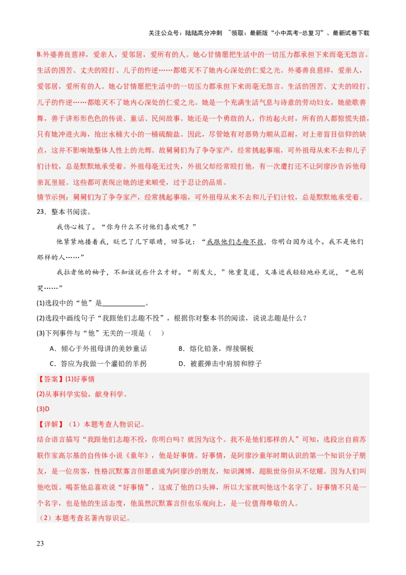 第01讲《童年》整本书阅读(练习）（解析版）_02中考总复习（2026版更新中）_01-语文-中考总复习_2026年中考复习（更新中）_2026年中考语文一轮复习名著阅读