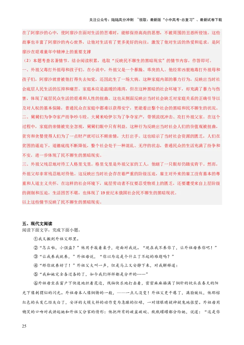 第01讲《童年》整本书阅读(练习）（解析版）_02中考总复习（2026版更新中）_01-语文-中考总复习_2026年中考复习（更新中）_2026年中考语文一轮复习名著阅读