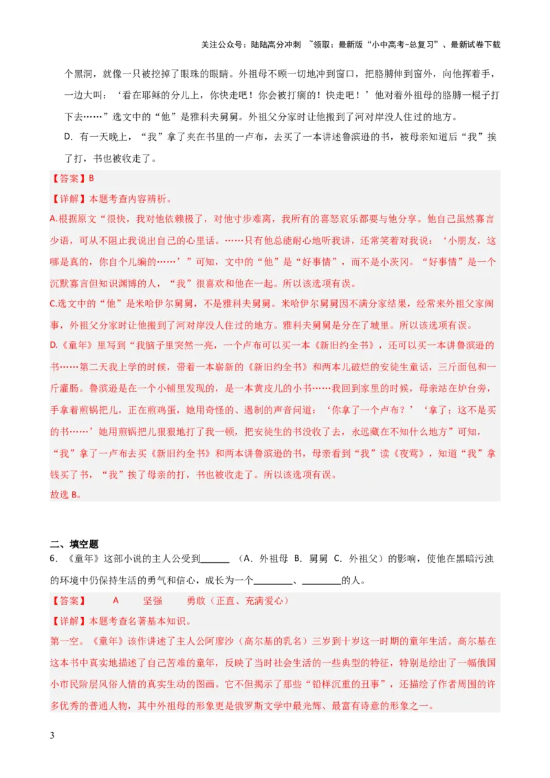 第01讲《童年》整本书阅读(练习）（解析版）_02中考总复习（2026版更新中）_01-语文-中考总复习_2026年中考复习（更新中）_2026年中考语文一轮复习名著阅读