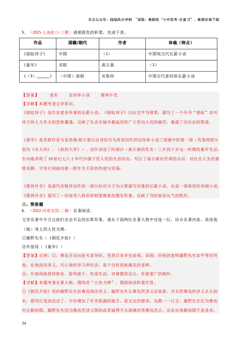 第01讲《童年》整本书阅读(练习）（解析版）_02中考总复习（2026版更新中）_01-语文-中考总复习_2026年中考复习（更新中）_2026年中考语文一轮复习名著阅读