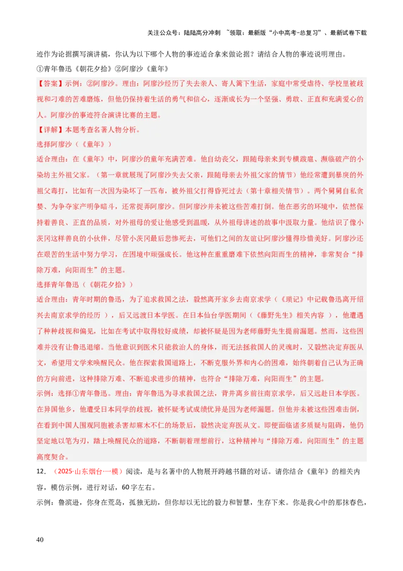第01讲《童年》整本书阅读(练习）（解析版）_02中考总复习（2026版更新中）_01-语文-中考总复习_2026年中考复习（更新中）_2026年中考语文一轮复习名著阅读