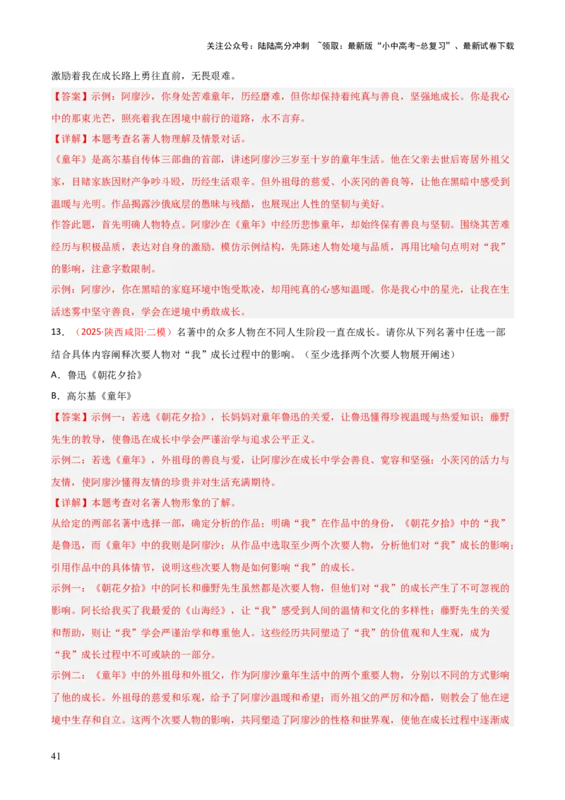 第01讲《童年》整本书阅读(练习）（解析版）_02中考总复习（2026版更新中）_01-语文-中考总复习_2026年中考复习（更新中）_2026年中考语文一轮复习名著阅读