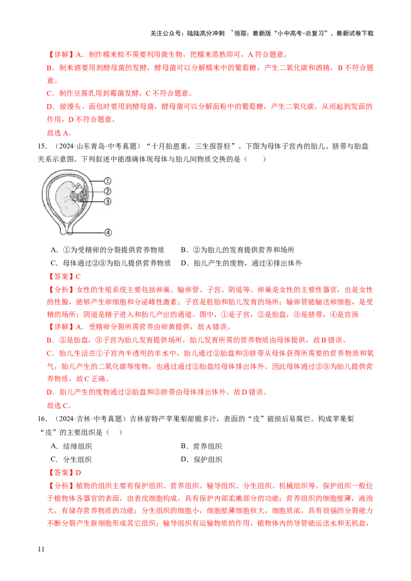热点趋向01传统文化（讲练）（解析版）_02中考总复习（2026版更新中）_08-生物-中考总复习_2025中考复习资料_2025中考二轮课件ppt+讲义+练习生物_测试