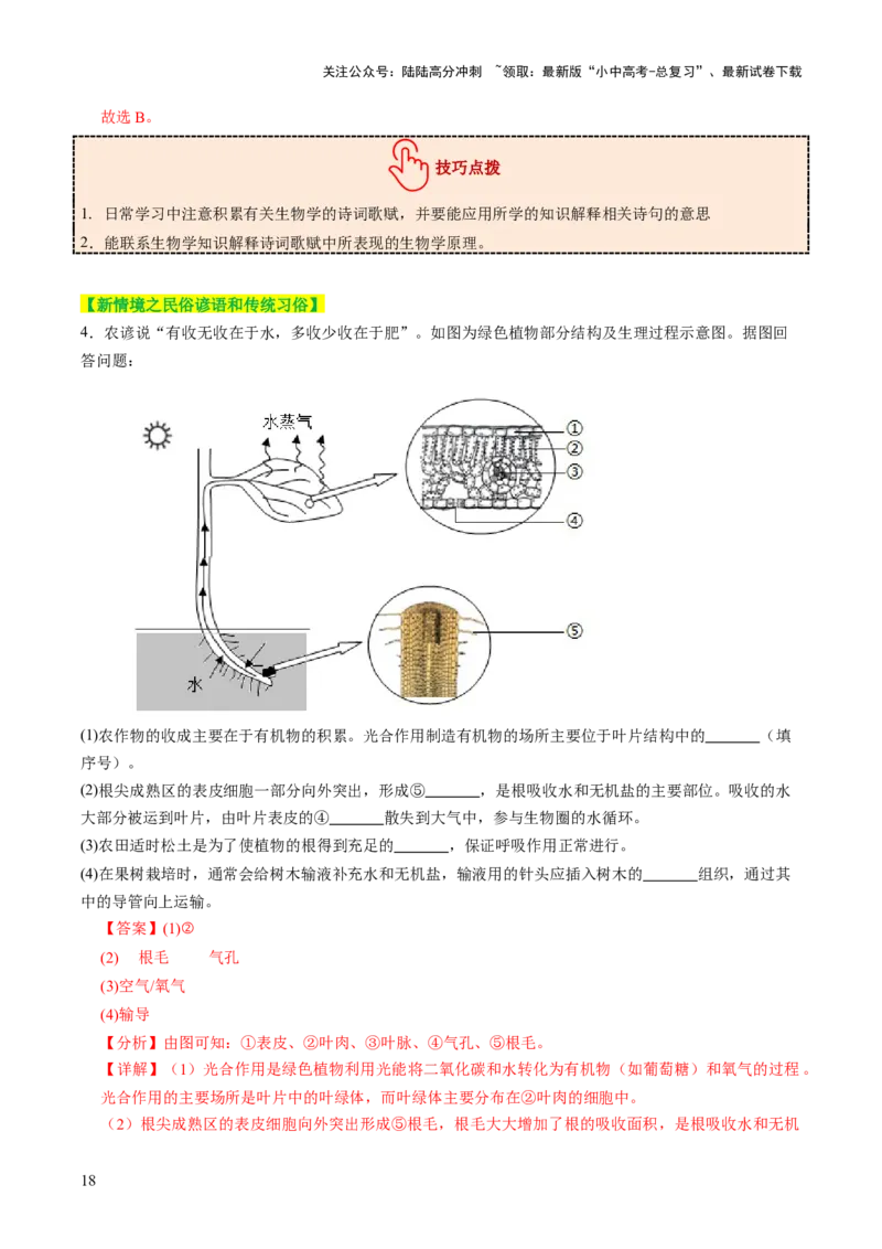 热点趋向01传统文化（讲练）（解析版）_02中考总复习（2026版更新中）_08-生物-中考总复习_2025中考复习资料_2025中考二轮课件ppt+讲义+练习生物_测试