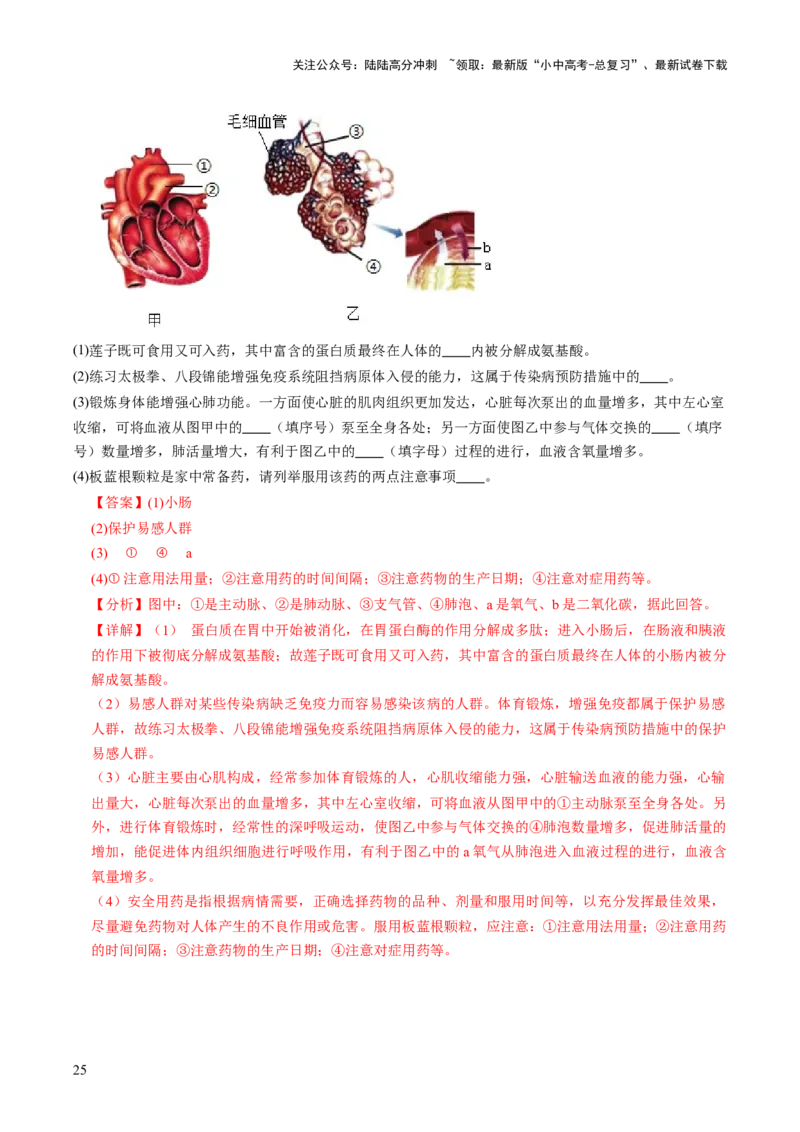 热点趋向01传统文化（讲练）（解析版）_02中考总复习（2026版更新中）_08-生物-中考总复习_2025中考复习资料_2025中考二轮课件ppt+讲义+练习生物_测试