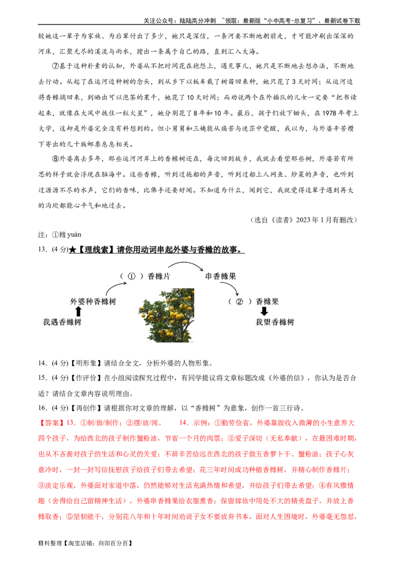 第22讲小说的情节与结构（练习）-2024年中考语文一轮复习讲练测（全国通用）（解析版）_02中考总复习（2026版更新中）_01-语文-中考总复习_2024年中考资料_一轮复习_教师版（含答案解析）