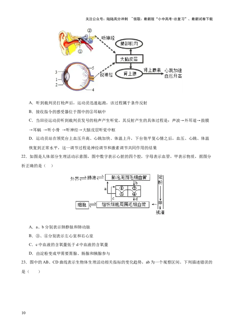 热点三人体生理活动模型构建（测试）（原卷版）_02中考总复习（2026版更新中）_08-生物-中考总复习_2025中考复习资料_2025中考二轮课件ppt+讲义+练习生物_测试