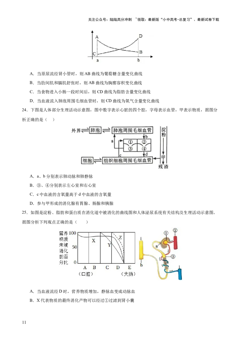 热点三人体生理活动模型构建（测试）（原卷版）_02中考总复习（2026版更新中）_08-生物-中考总复习_2025中考复习资料_2025中考二轮课件ppt+讲义+练习生物_测试