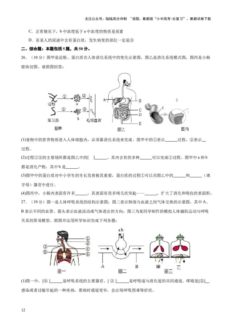 热点三人体生理活动模型构建（测试）（原卷版）_02中考总复习（2026版更新中）_08-生物-中考总复习_2025中考复习资料_2025中考二轮课件ppt+讲义+练习生物_测试