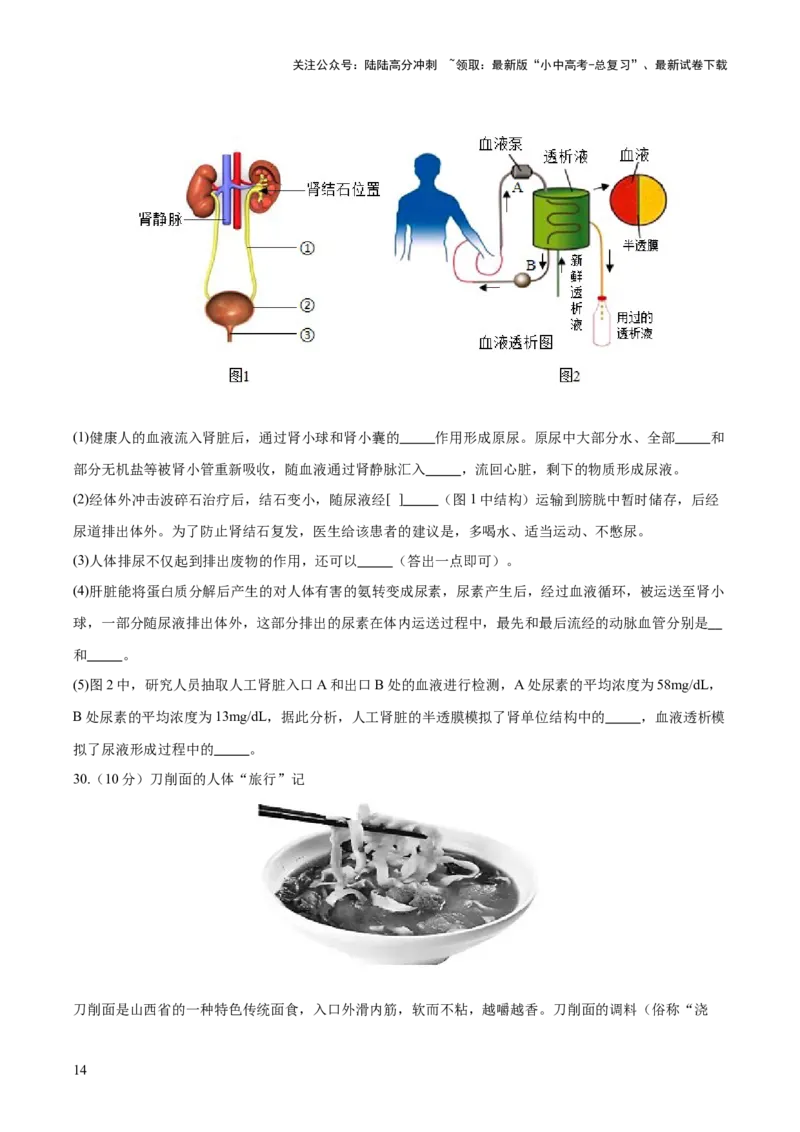 热点三人体生理活动模型构建（测试）（原卷版）_02中考总复习（2026版更新中）_08-生物-中考总复习_2025中考复习资料_2025中考二轮课件ppt+讲义+练习生物_测试